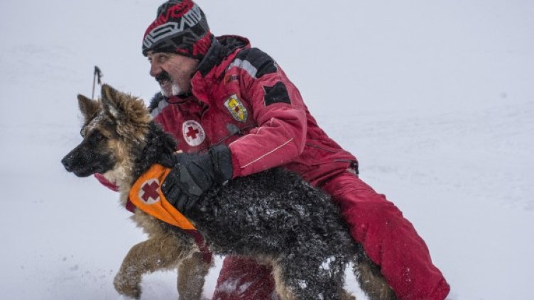 Снимка: архив "Булфото"