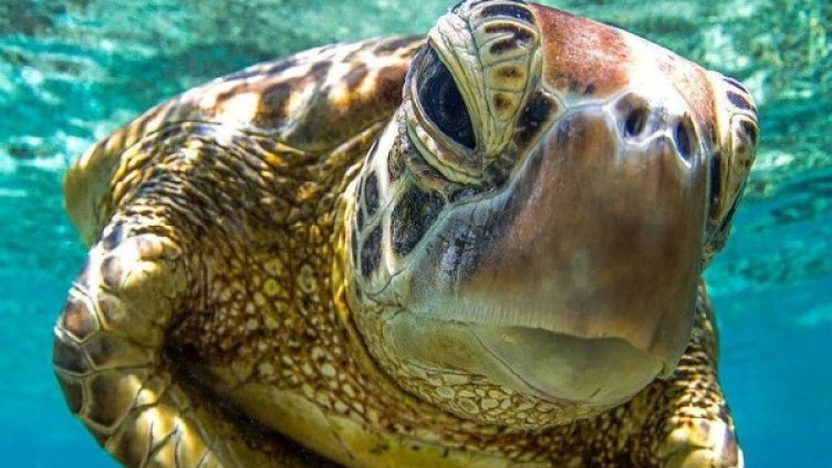 Снимка: Instagram