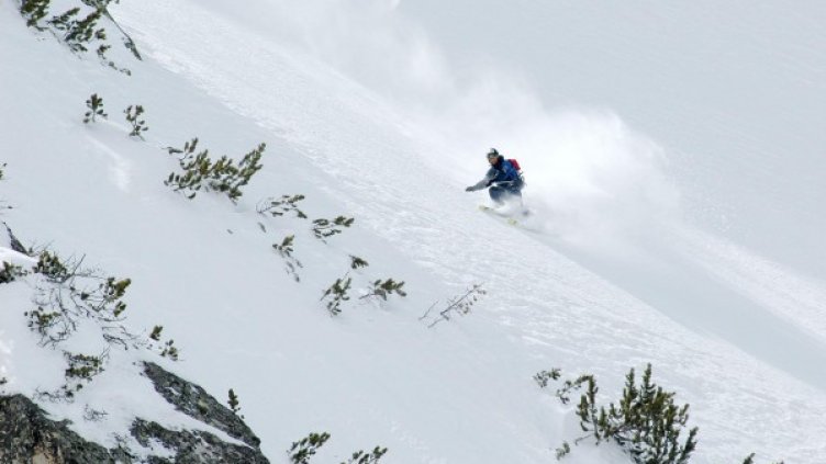 Снимка: архив "Булфото"