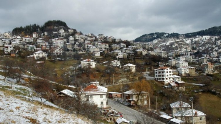 Архив: Булфото