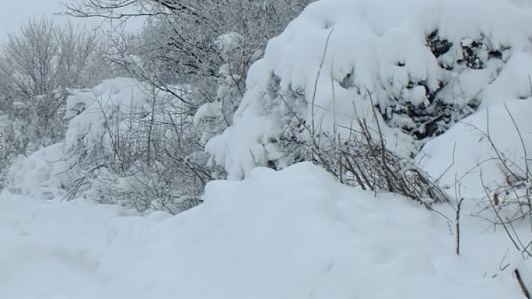 Снимка: архив, Булфото