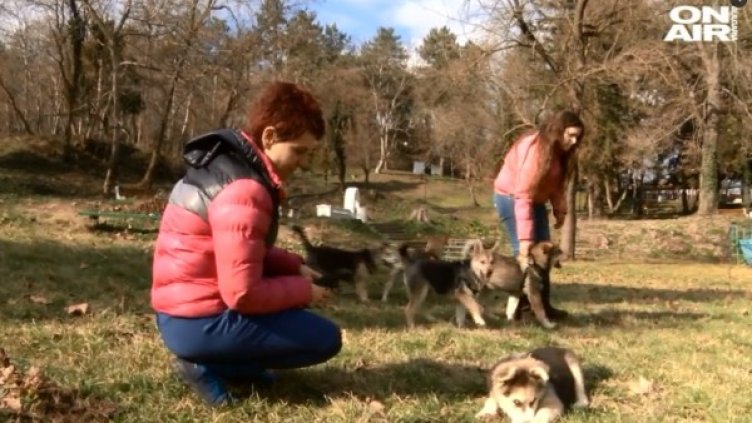 Снимка: Bulgaria ON AIR