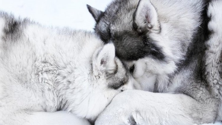 Снимка: Instagram