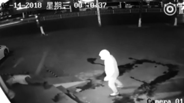 Снимка: Bulgaria ON AIR