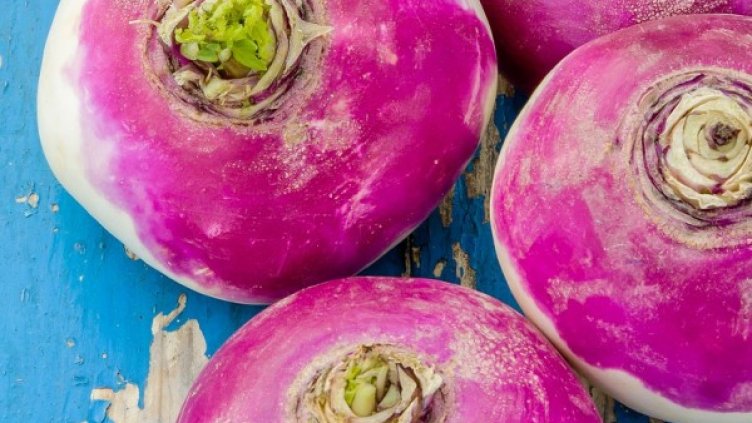 Снимка: Pexels