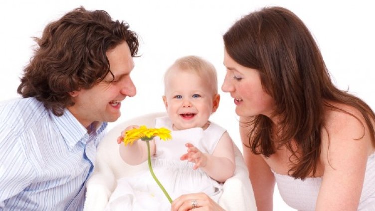 Снимка: pixabay