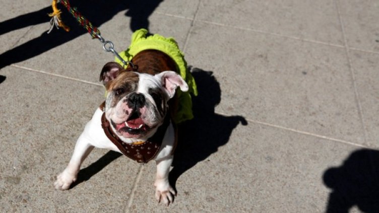 Снимка: архив, Reuters