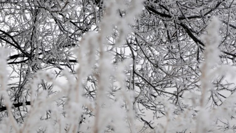 Снимка: архив, БТА