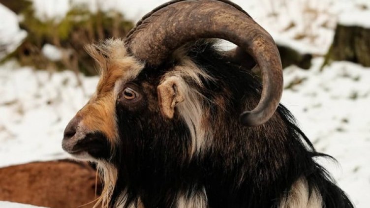 Снимка: Instagram