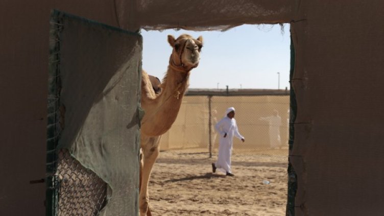 Снимка: Reuters, архив