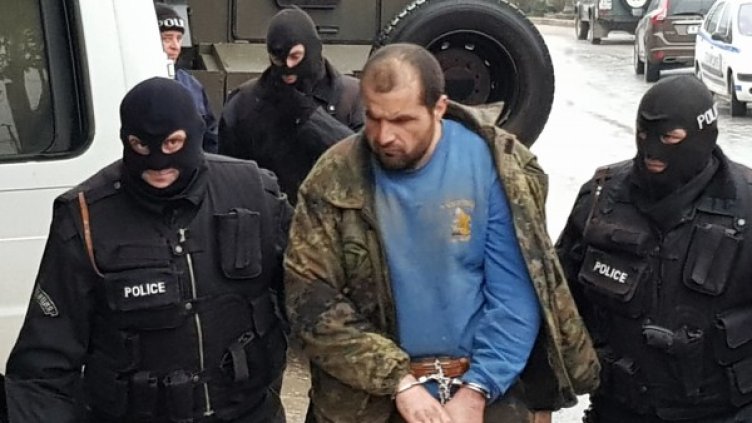 Снимка: Дарик