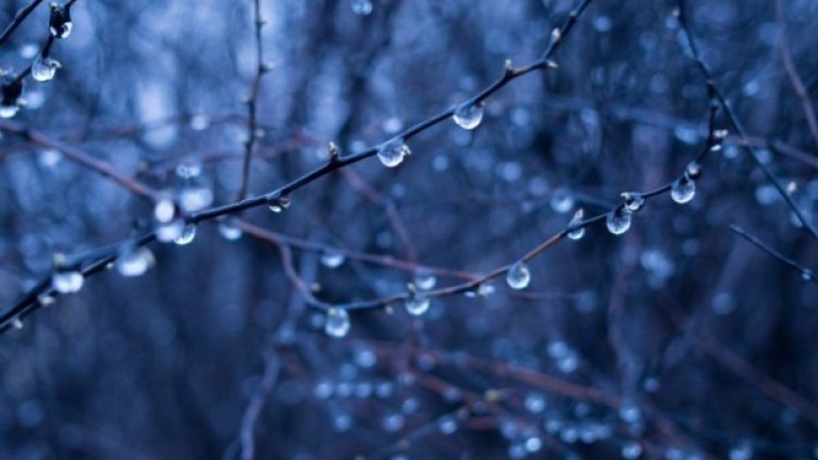 Снимка: Flickr