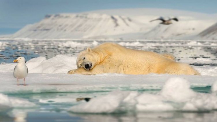 Снимка: Instagram