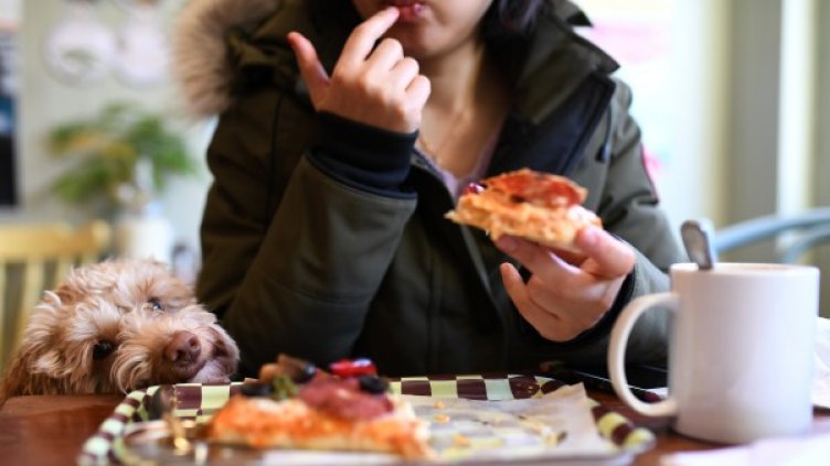 Снимка: Reuters, архив