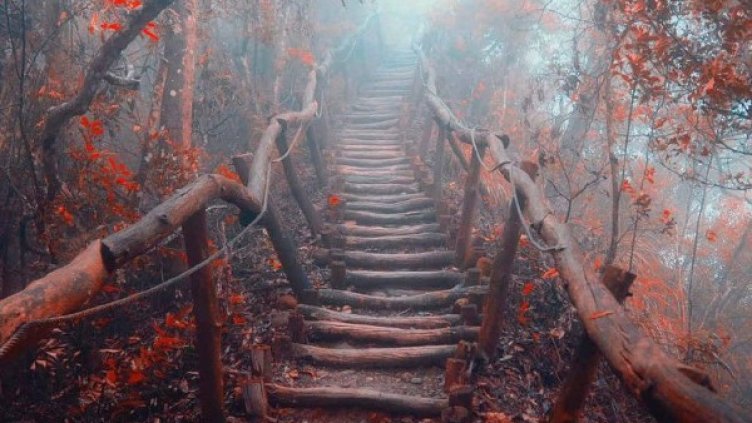 Снимка: Instagram