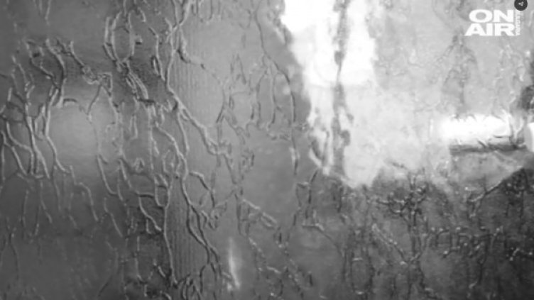 Снимка: Bulgaria ON AIR