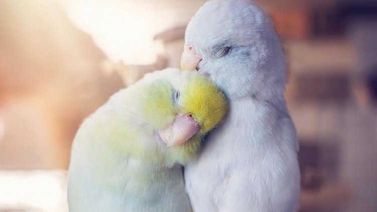 Снимка: Instagram