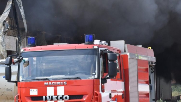 Архив: Булфото