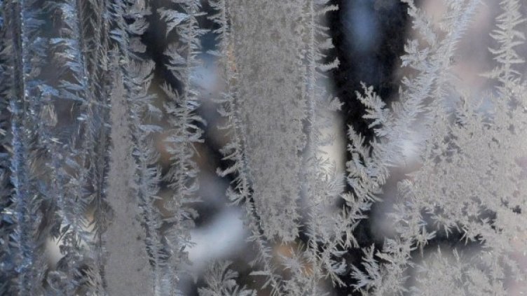 Снимка: Булфото, архив