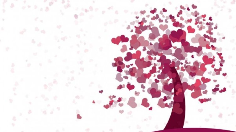 Снимка: pixabay