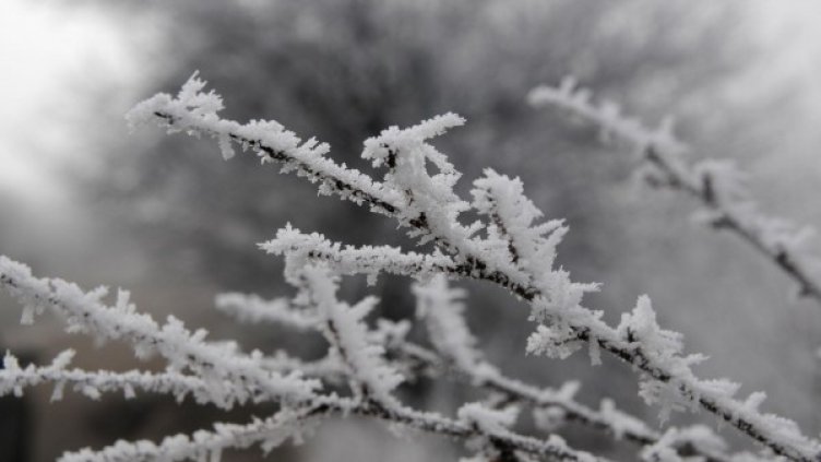 Снимка: архив, БулФото