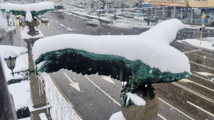 Снимка: архив "Булфото"