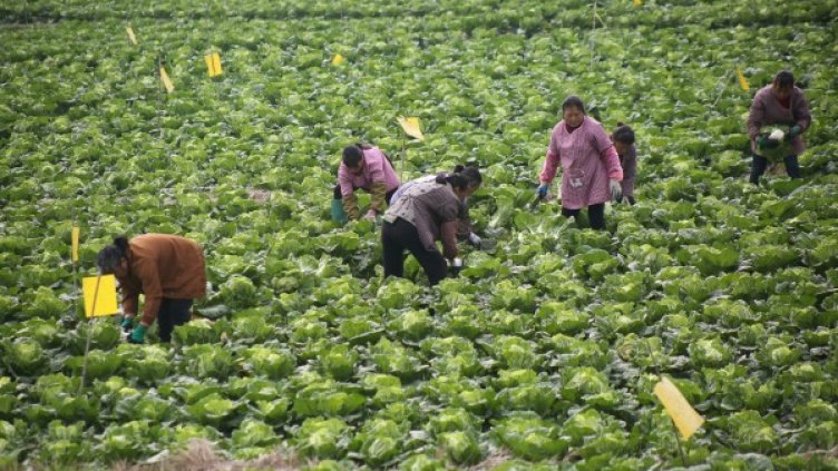 Снимка: архив, Reuters