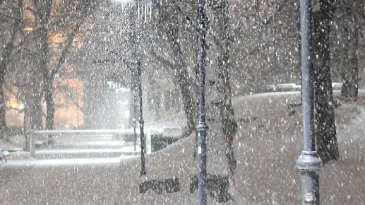 Снимка: Булфото