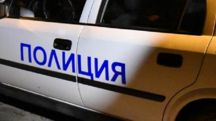 Снимка: Архив