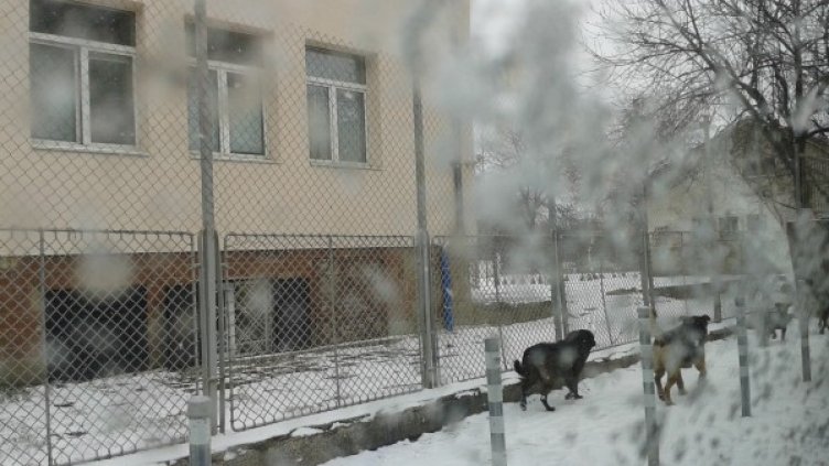 Снимка: HelpBook
Снимка: HelpBook