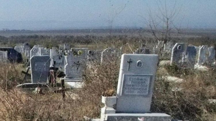 Снимка: Булфото, архив