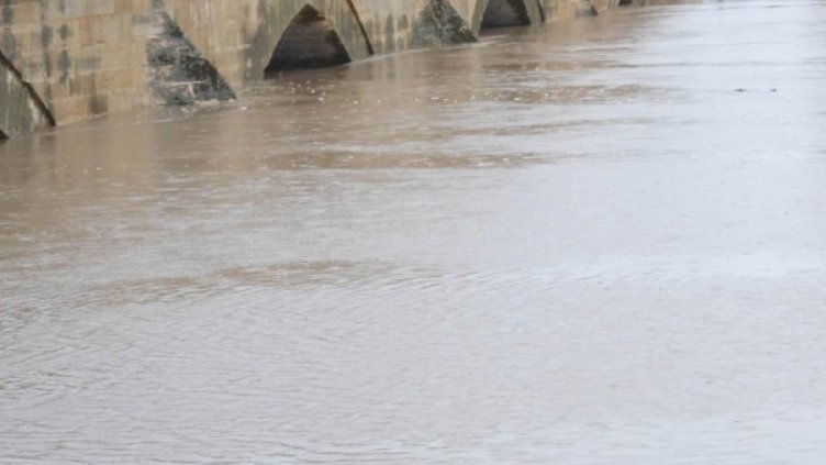 Снимка: архив "Булфото"