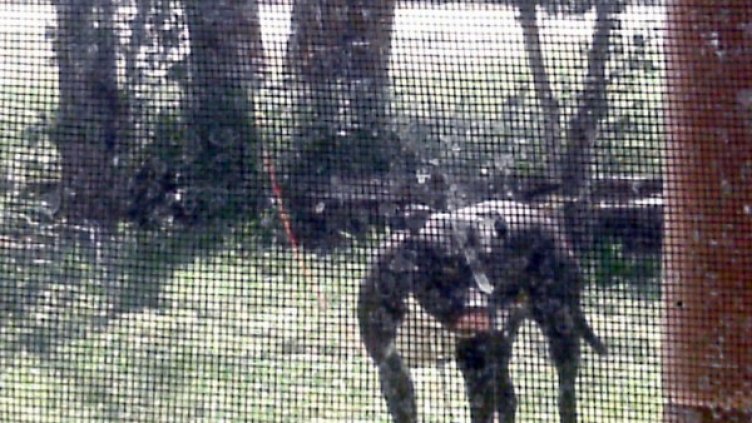 Снимка: visualhunt.com