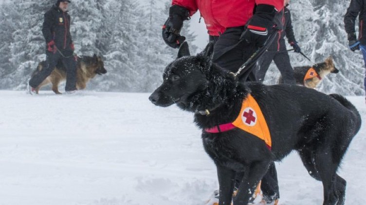 Снимка: архив, Булфото