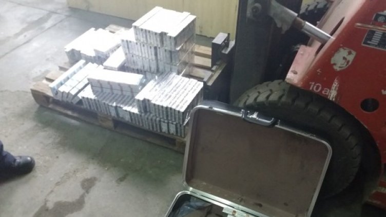 Митничарско куче откри над 4000 кутии цигари на "Дунав мост"