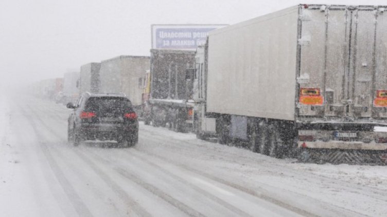 Снимка: архив "Булфото"