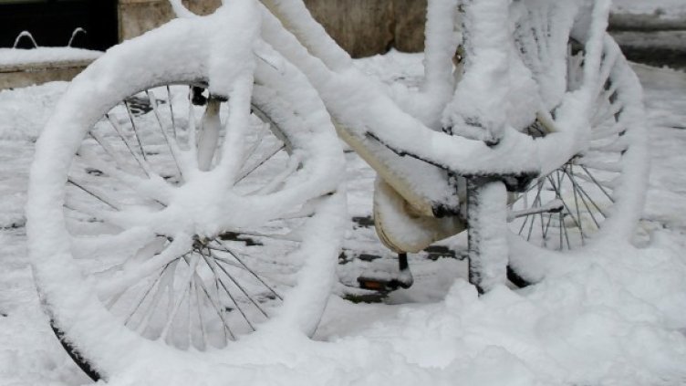 Снимка: Reuters, архив