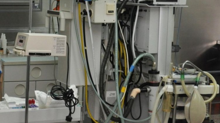 Снимка: архив, БулФото