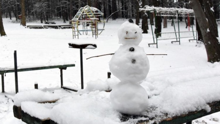 Снимка: Булфото