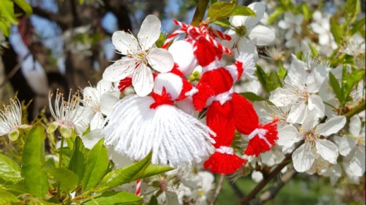 Снимка: Pixabay