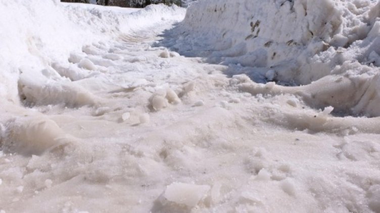 Архив: Булфото