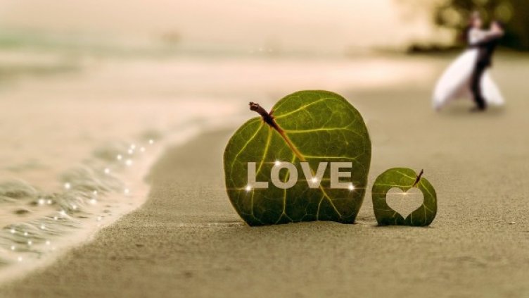 Снимка: pixabay