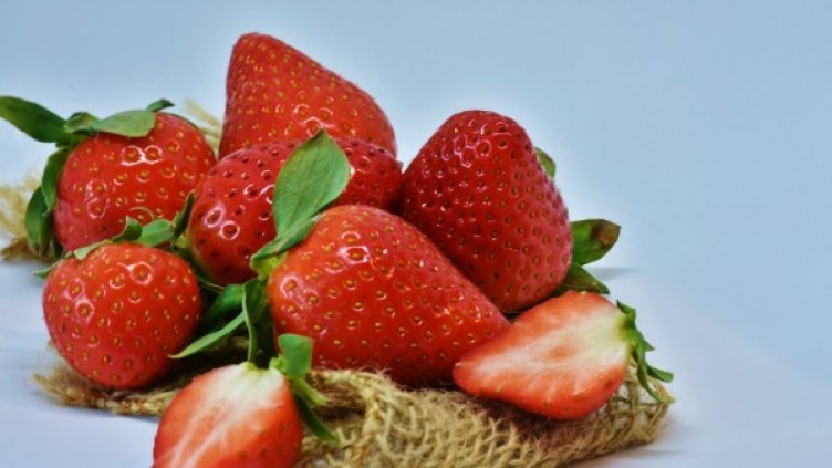 Снимка: pixabay