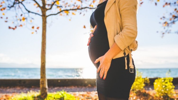 Снимка: Pixabay