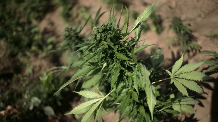 Снимка: архив Reuters