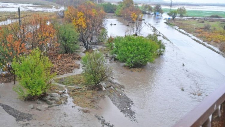 Снимка: Булфото, архив