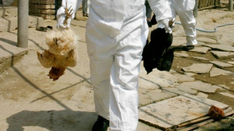 Снимка: Булфото, архив