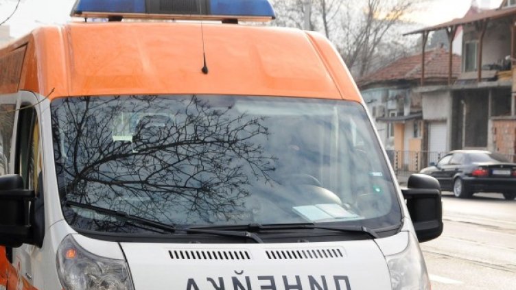 Снимка: архив "Булфото"