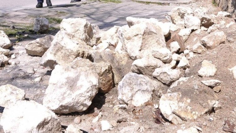 Снимка: архив "Булфото"