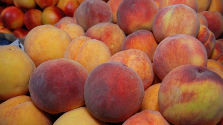 Снимка: архив, БулФото